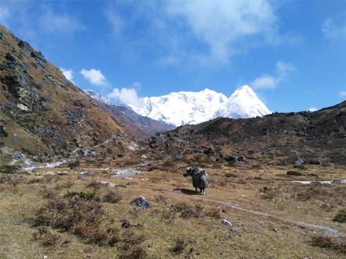 Kanchenjunga and EBC