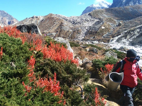 Beautiful view in Kanchenjunga Circuit trek