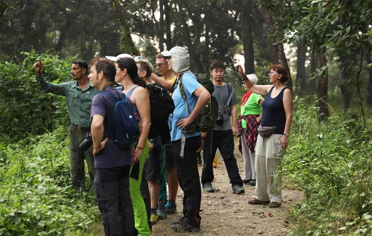 People enjoying Jungle Visit