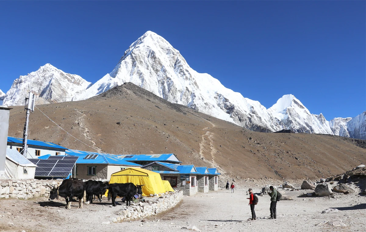 Everest High Pass Trekking