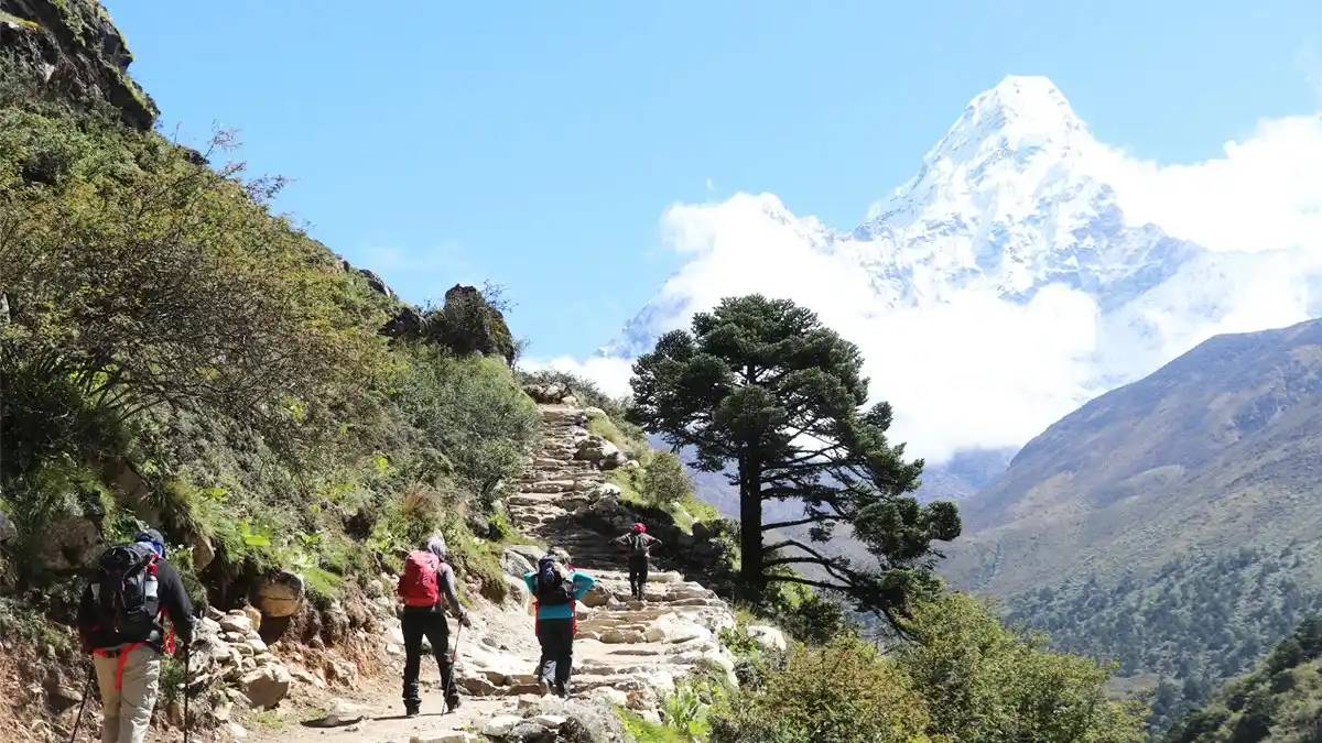 Trekkers in Himalayan Route Nepal