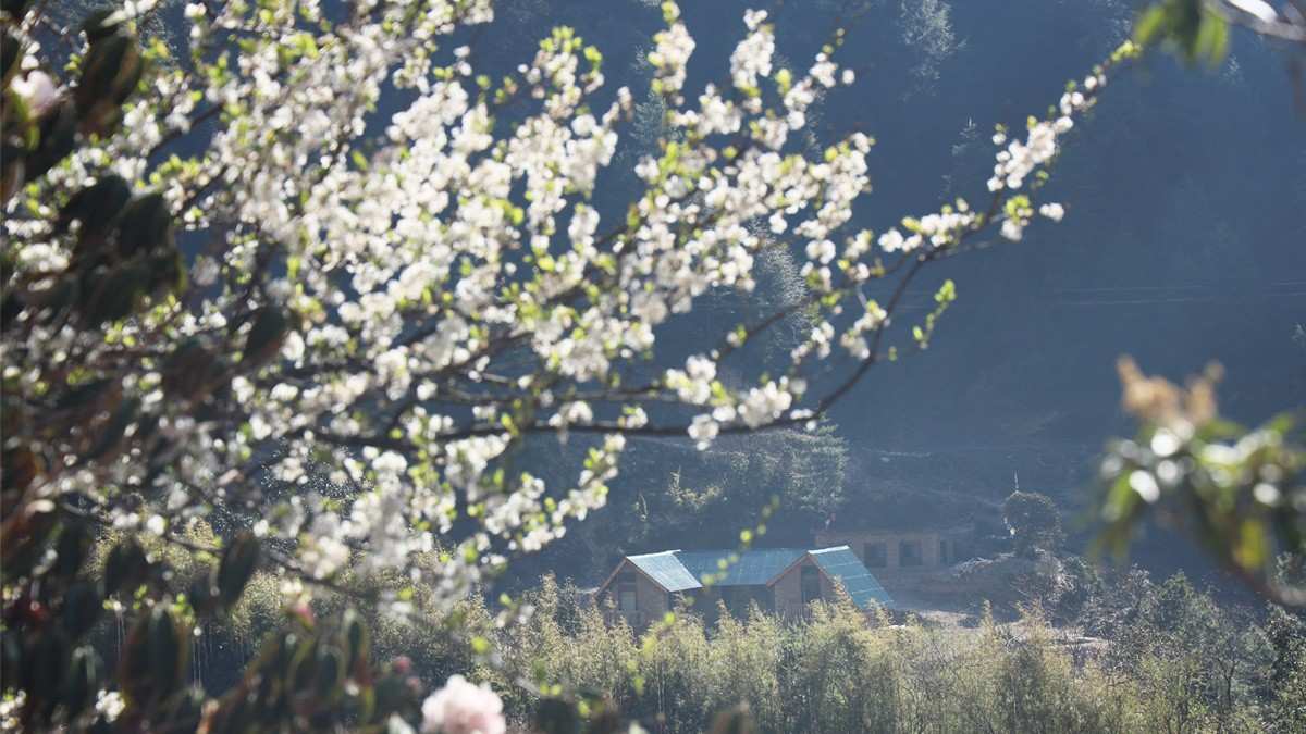 Wildflower Trek Nepal