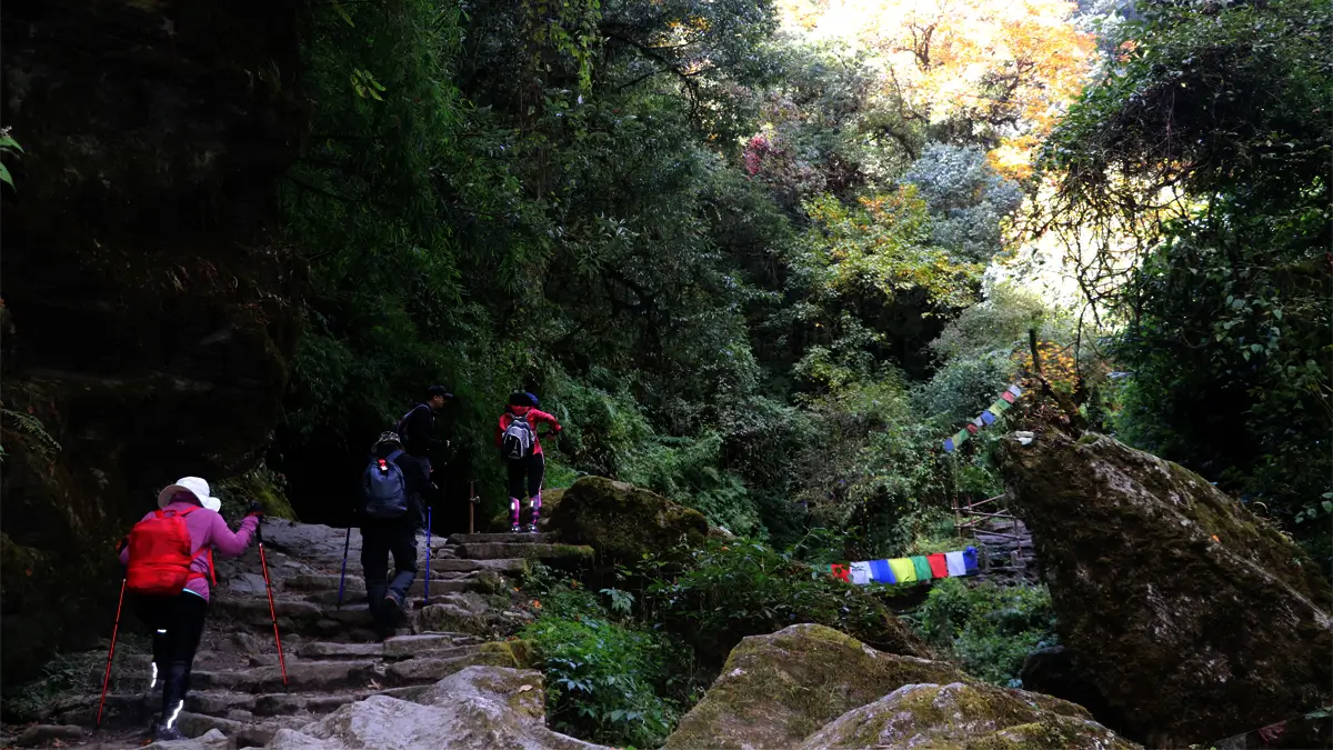 Hikers climbing forest stone steps lined with prayer flags on the Chisapani–Nagarkot trail