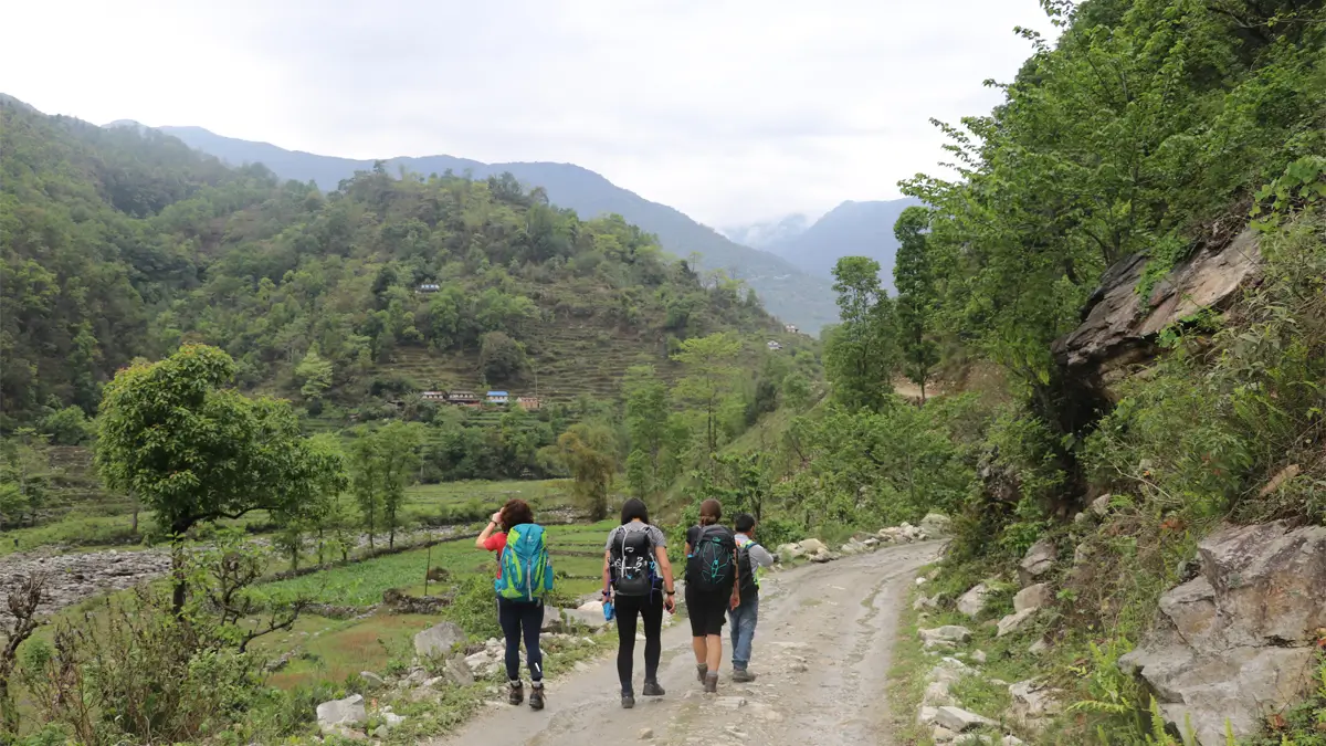 Hikers walking a hill trail past green terraced fields on the Chisapani–Dhulikhel route