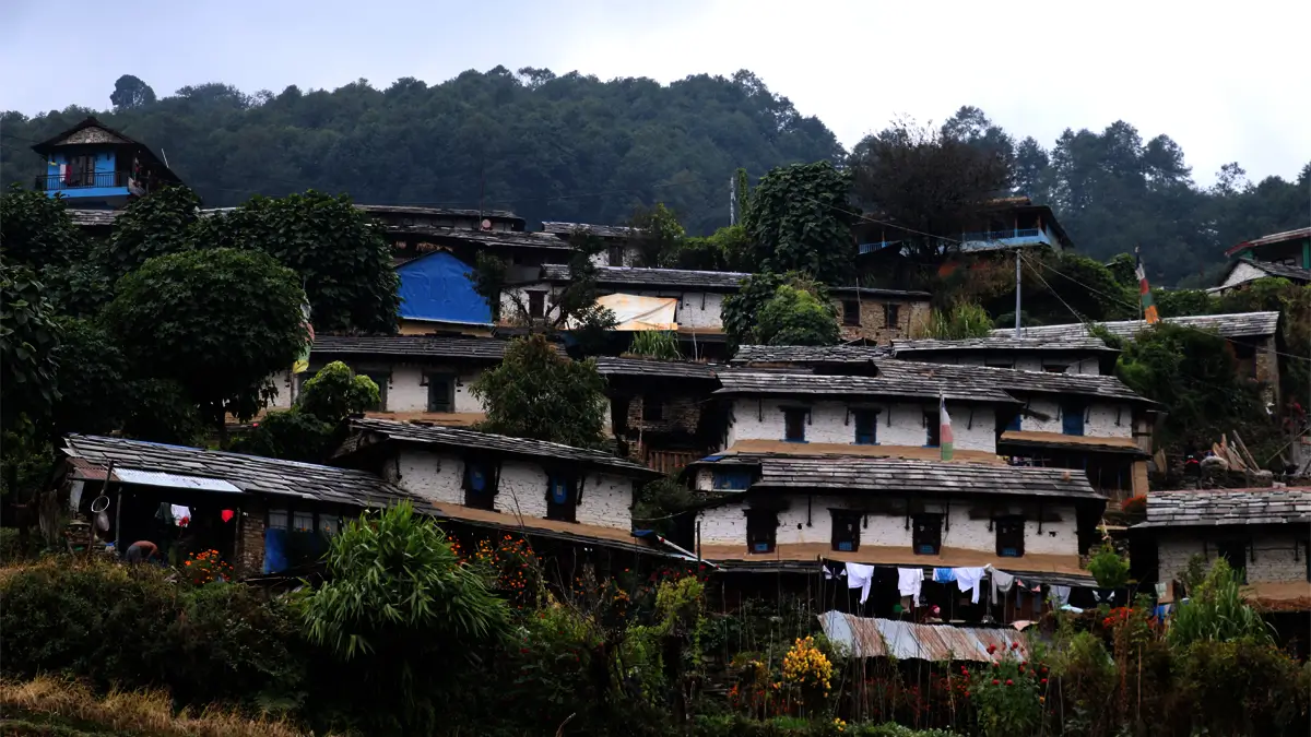 Traditional stone houses with slate roofs in Ghandruk village on the Ghorepani trek