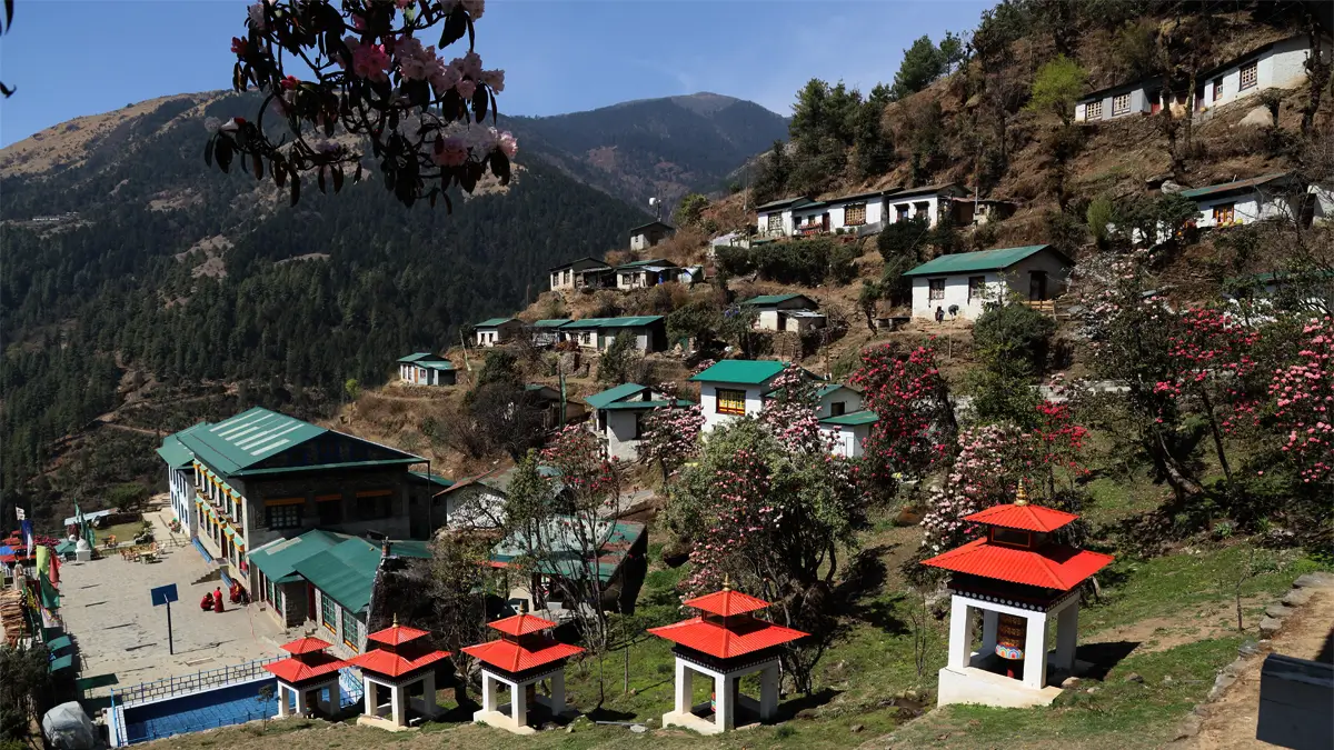 Tuptencholing monastery with prayer wheel shrines and rhododendron blooms, Junbesi