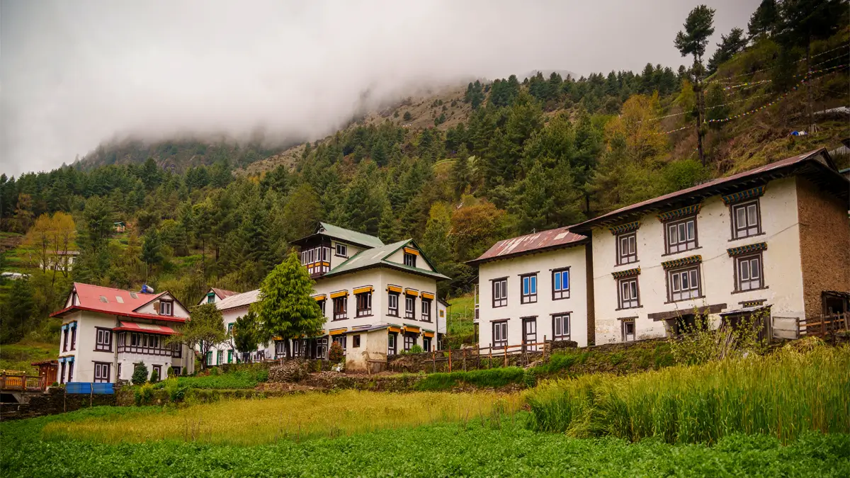 Traditional Sherpa houses below misty forested hills in Junbesi