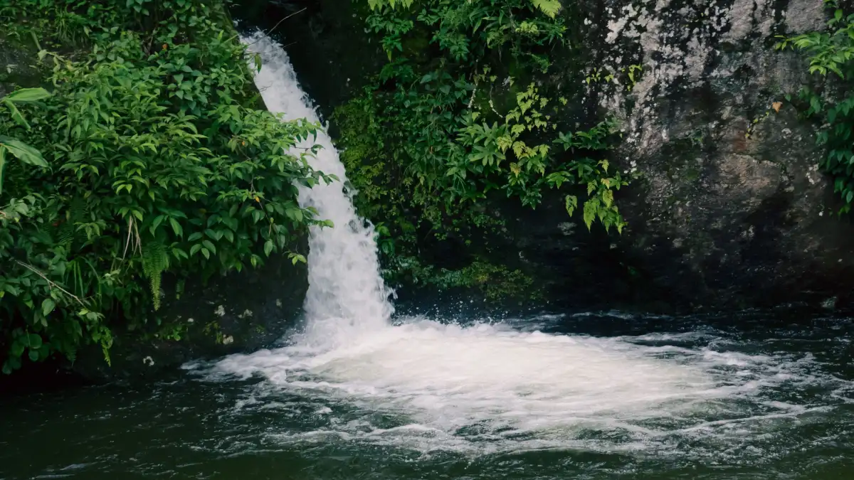 Mountain stream water source along a Himalayan trekking trail