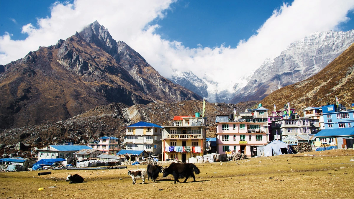 Beautiful settlement in Kyanjin Gompa
