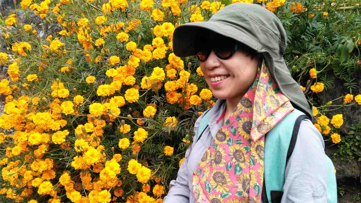 Autumn flowers blooming on Kanchenjunga Circuit Trail