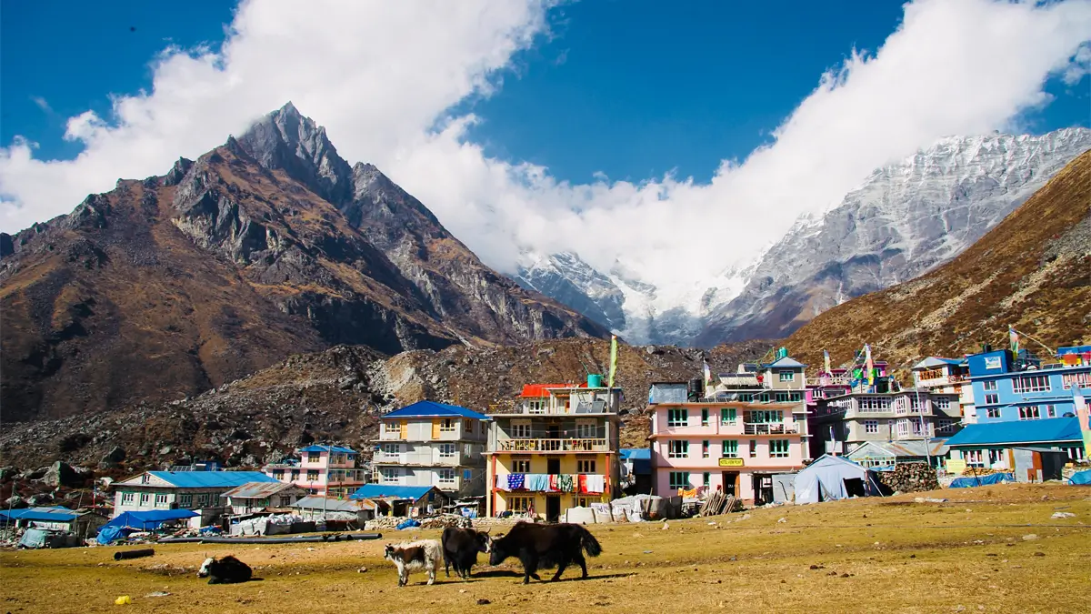 Langtang Kyanjin Gumba Village 