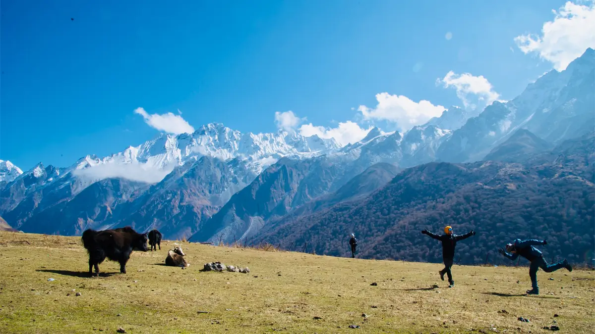 langtang-valley-now