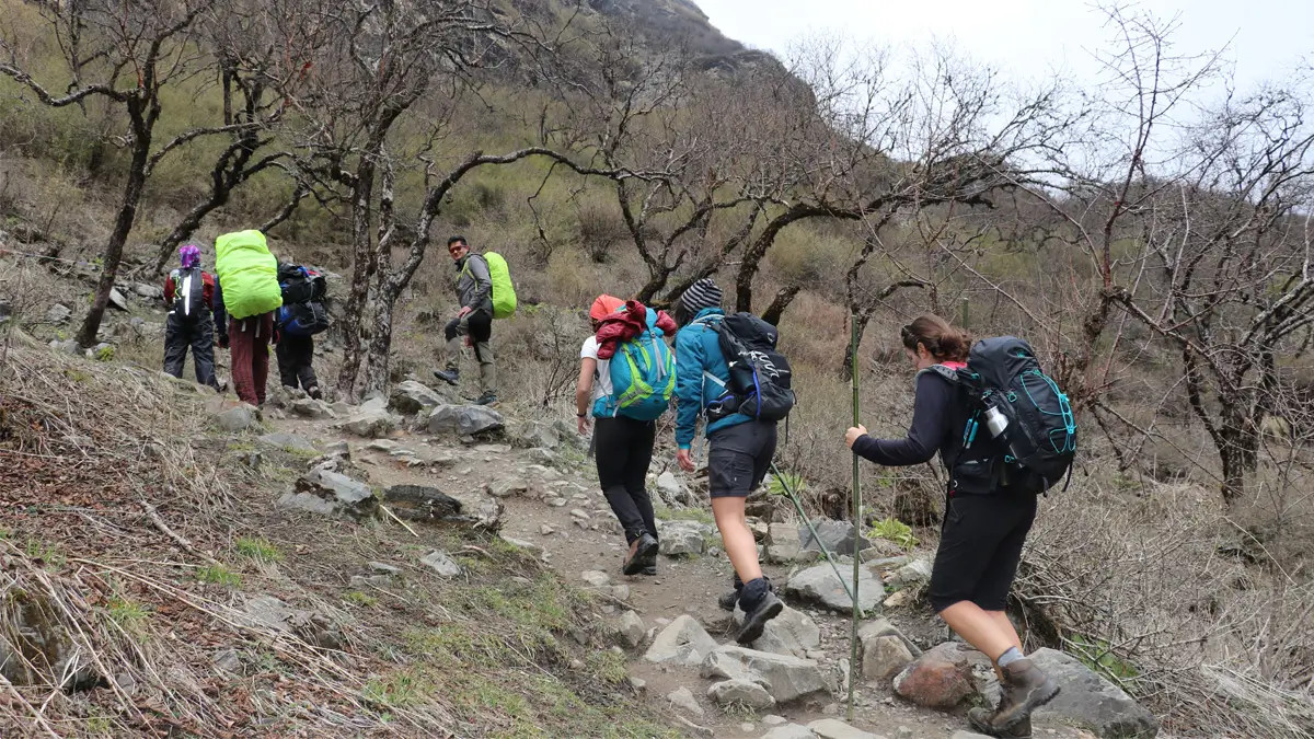 ABC trekking trail