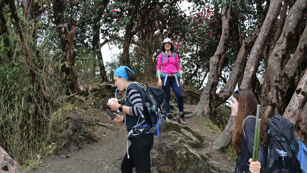 Annapurna Trail
