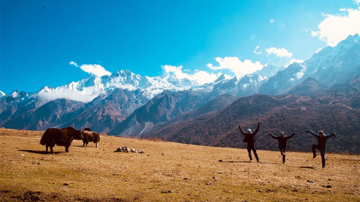 Langtang Valley trek is budget trekking option in Nepal