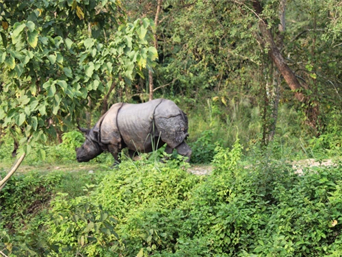 Chitwan Tour Nepal