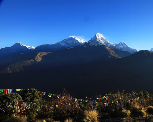 Days In Annapurna