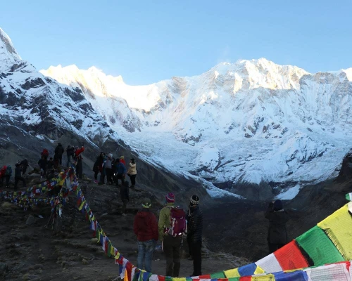 Abc Trek For Seniors