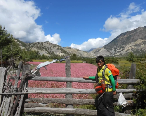 Annapurna Circuit Trekking Nepal