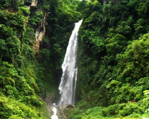 Annapurna Waterfall