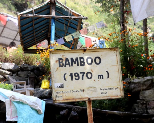 Bamboo Village Langtang