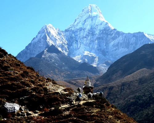 Ebc Gokyo Lakes Trek ()