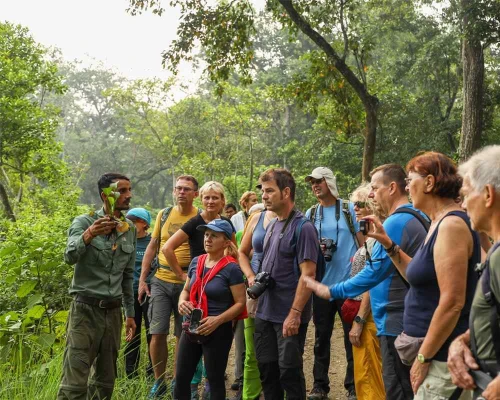 Guide Explanaing The Visitors