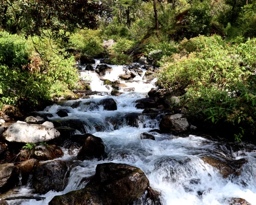 Phaplu Eberest Trekking