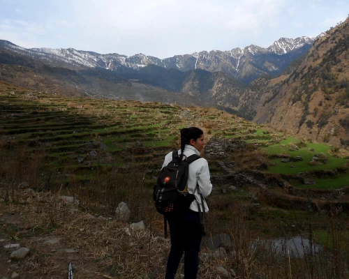 Tarreced Field In Nepal Mountain