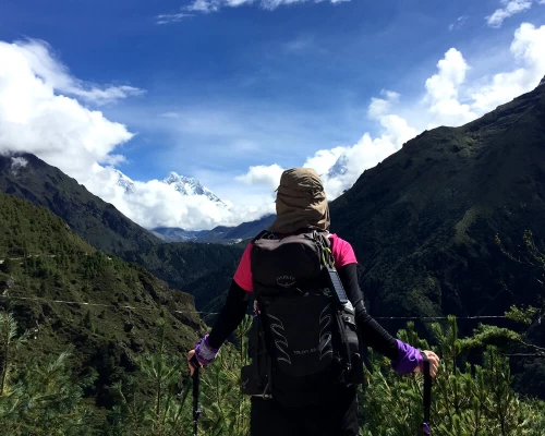 Trekker Enjoying Mount Everest